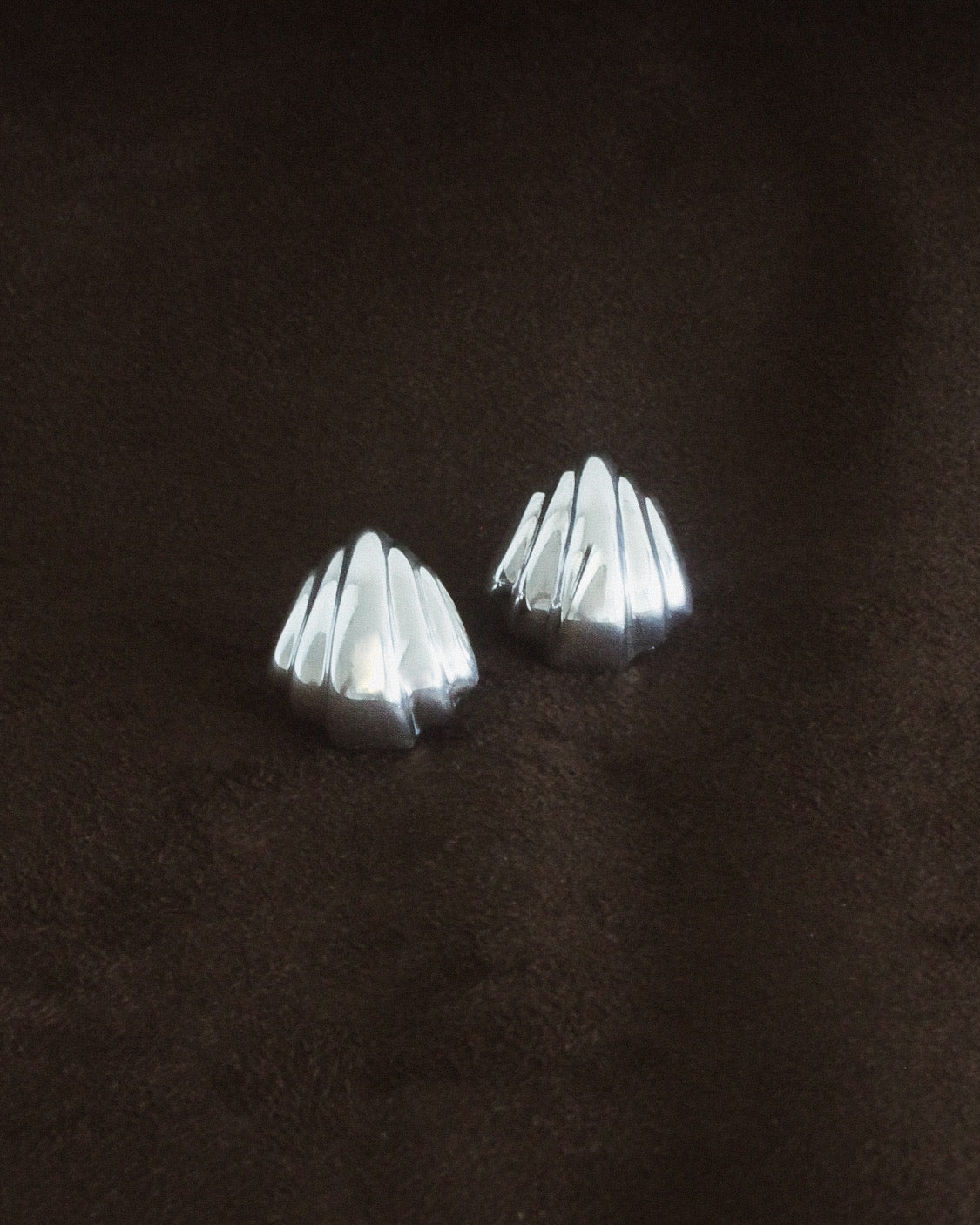 Women's Shell Earrings | Silver Shell Earrings | Cklasic Designs